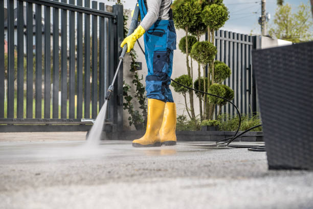 Animal Enclosure Cleaning in Bastrop, LA